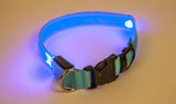 LED svetleča ovratnica za pse v veličini in barvi po izbiri